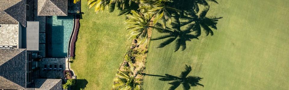 Villa de luxe Maurice MONA - Propriété contemporaine avec piscine à débordement et palmeraie - Gestion locative premium depuis 25 ans